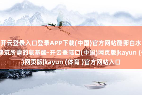 开云登录入口登录APP下载(中国)官方网站酪卵白水解太则为肌肤提供建筑所需的氨基酸-开云登陆口(中国)网页版|kayun (体育 )官方网站入口