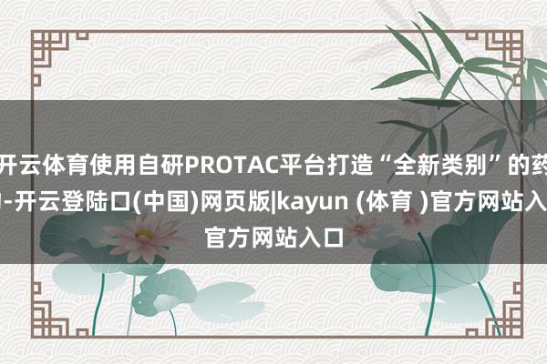 开云体育使用自研PROTAC平台打造“全新类别”的药物-开云登陆口(中国)网页版|kayun (体育 )官方网站入口