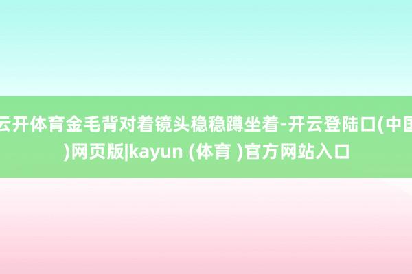 云开体育金毛背对着镜头稳稳蹲坐着-开云登陆口(中国)网页版|kayun (体育 )官方网站入口