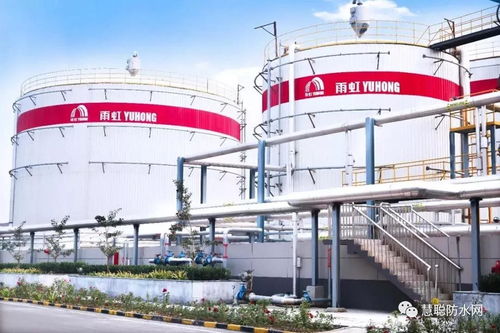 东方雨虹与湖南耐渗携手中标武九高速项目，四川鼎创交通助力区域经济腾飞