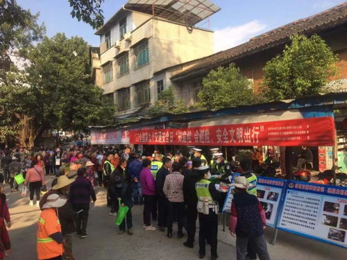 “知危险会避险”四川各地交警在行动，鼎创科技助力全国交通安全日